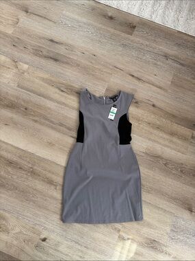 Planet Gold Gray Sheath Dress with Black Side Panels